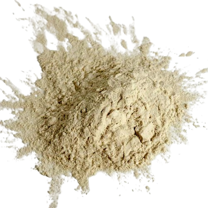 Hemp Protein Powder